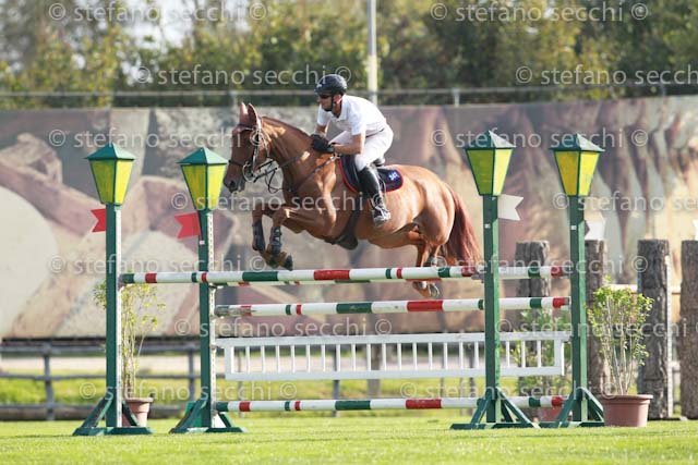 TAZZI_AMBRA_GIO CAV 2011_SS3_7688.jpg